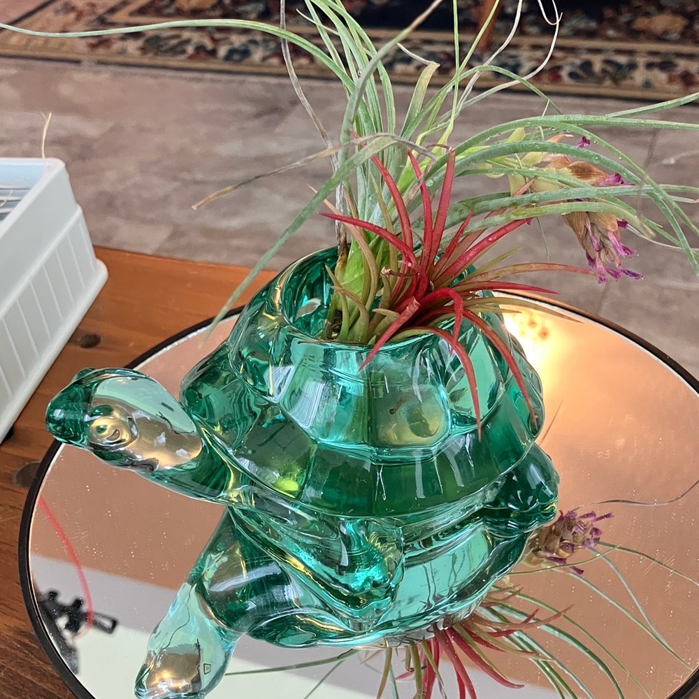 Vintage Indiana Glass Spanish Green Turtle votive or epiphyte plant holder more